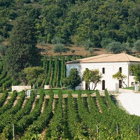 San Calisto Camere Con Vigna Popoli Dış mekan fotoğraf